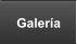 Galer�a