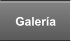 Galer�a